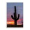 Stupell Industries Arizona Cactus at Sunset Framed Giclee, design by Jeff Poe Photography